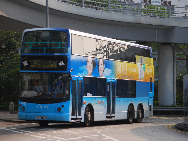 1023-320100606 S.jpg