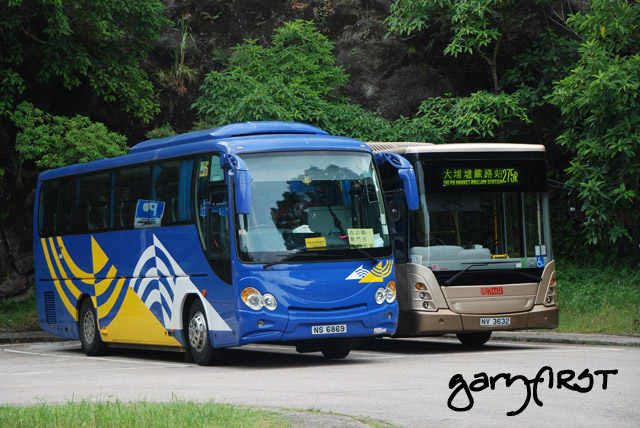 ns6869-nv3632.jpg