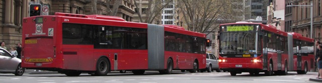 metrobus-30-1.jpg
