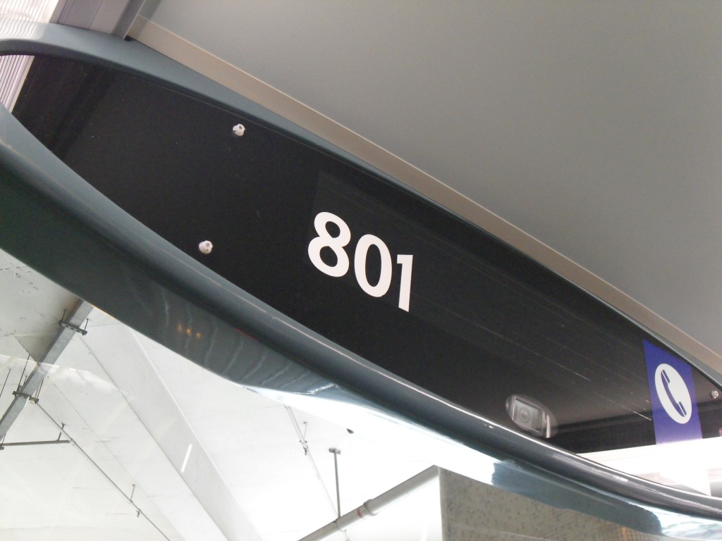 SDC10127.JPG