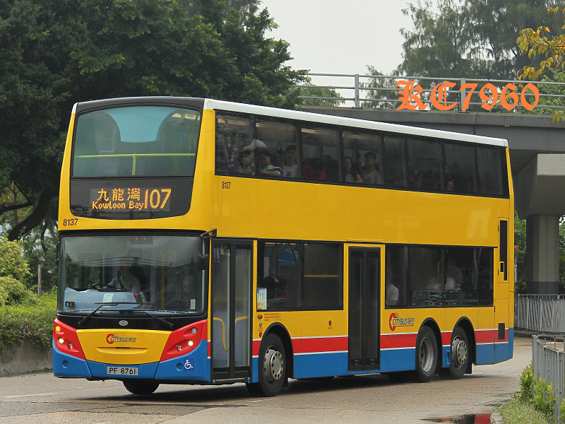 8137_107.jpg
