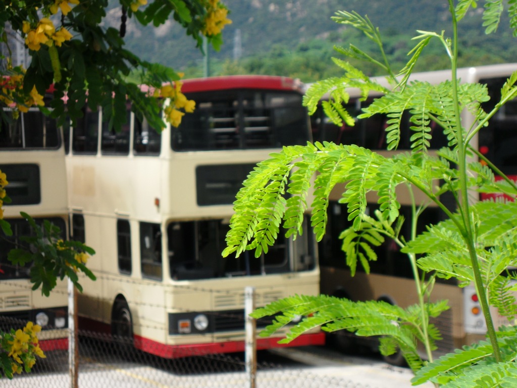 SDC10292.JPG