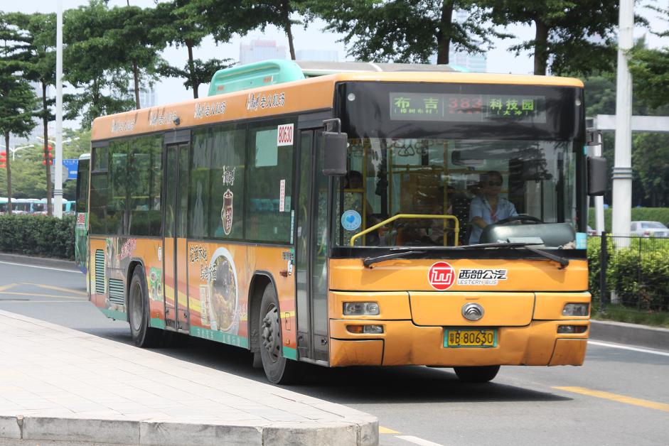 SZW-YB80630.jpg