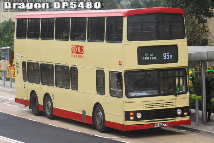 FU9273@95M-GR.jpg