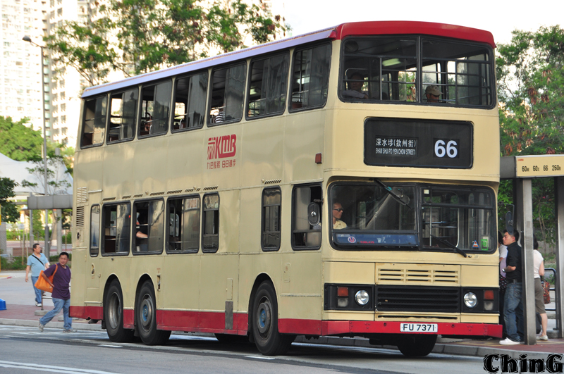 7371_66_2.jpg