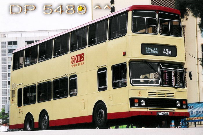 DY4315@43M.jpg