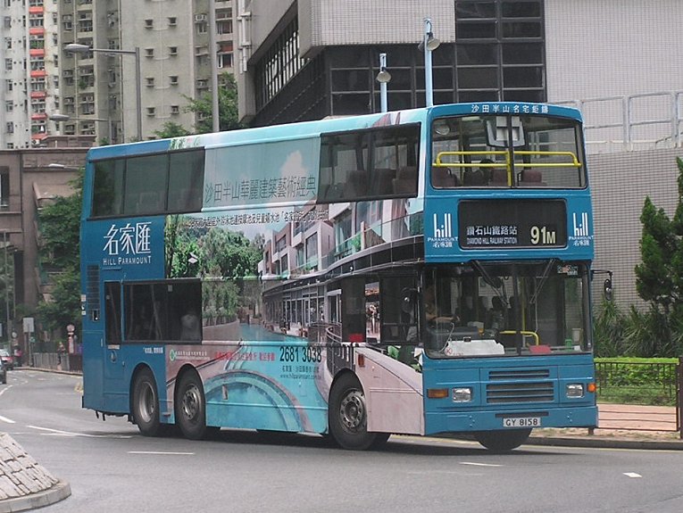 P1010237p.jpg