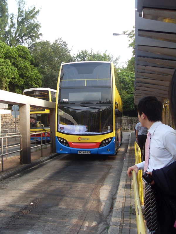 img447.jpg