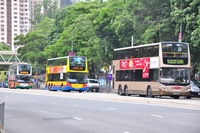 DSC_0147.JPG