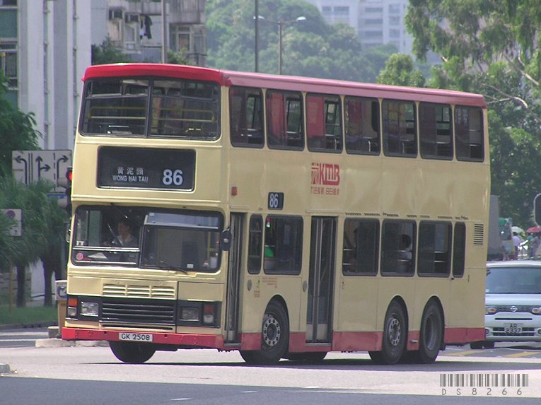 P1010481s.jpg