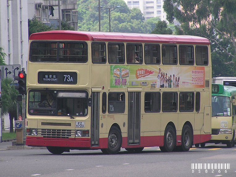 P1010446s.jpg