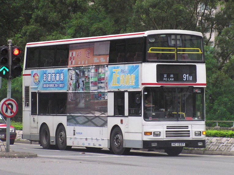 P1010445p.jpg