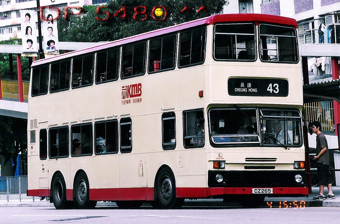DZ265.jpg