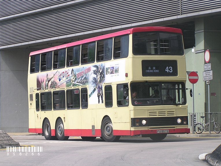 P1010640k.jpg