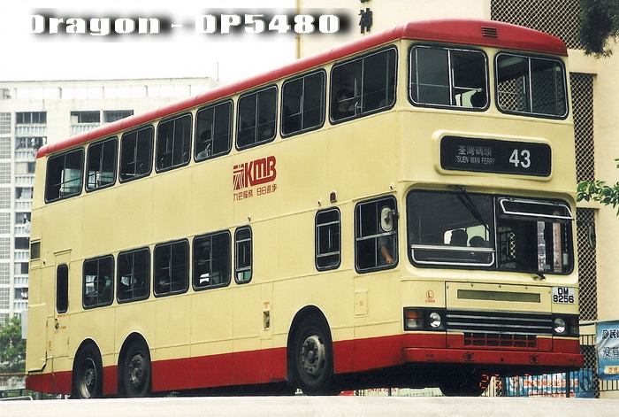 DM8256@43.jpg