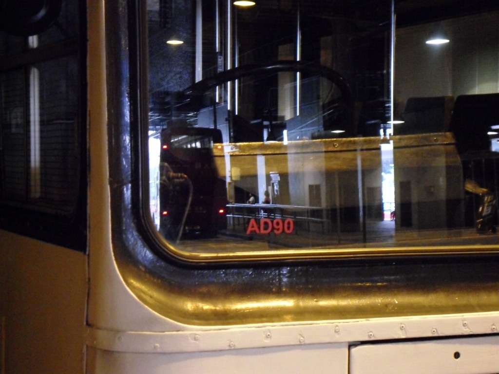 SDC10355.JPG