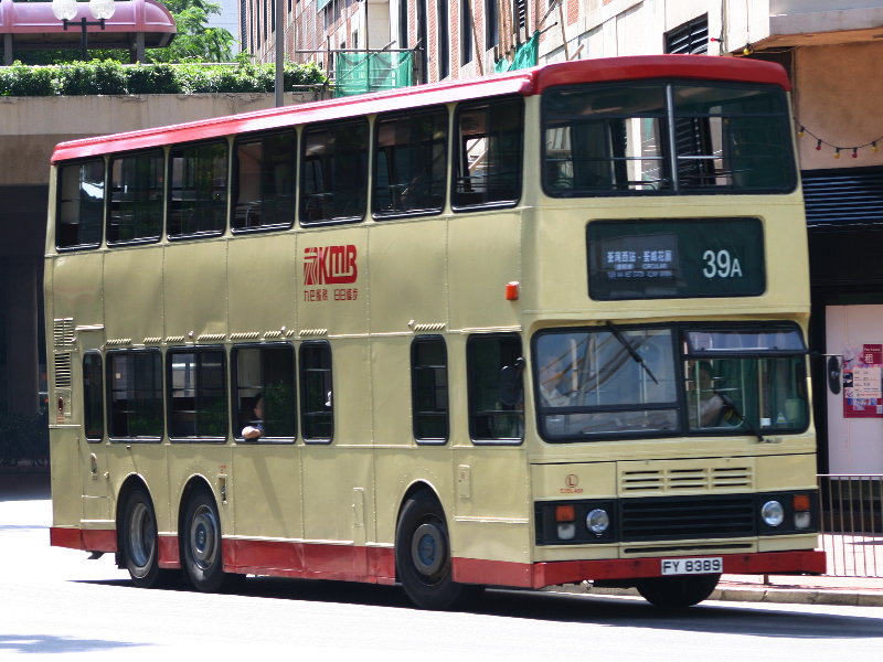 FY 8389 (5).JPG