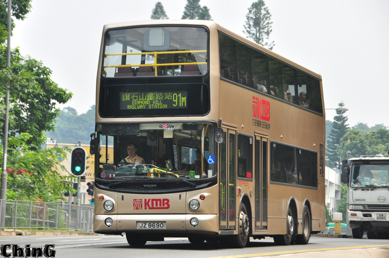 8690_91M.jpg