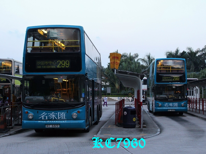 299.jpg