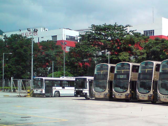 an1.jpg