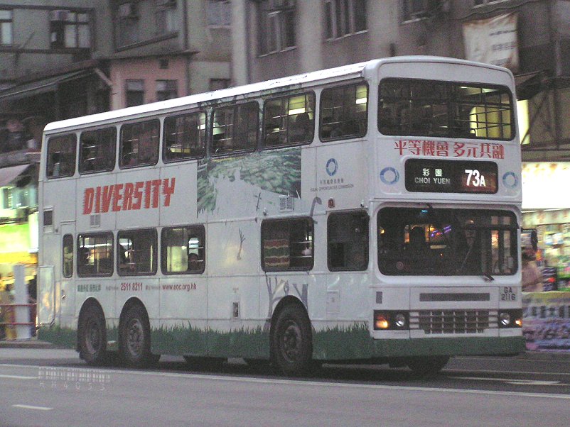 P1012387.jpg