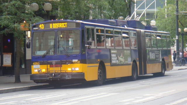 701.JPG