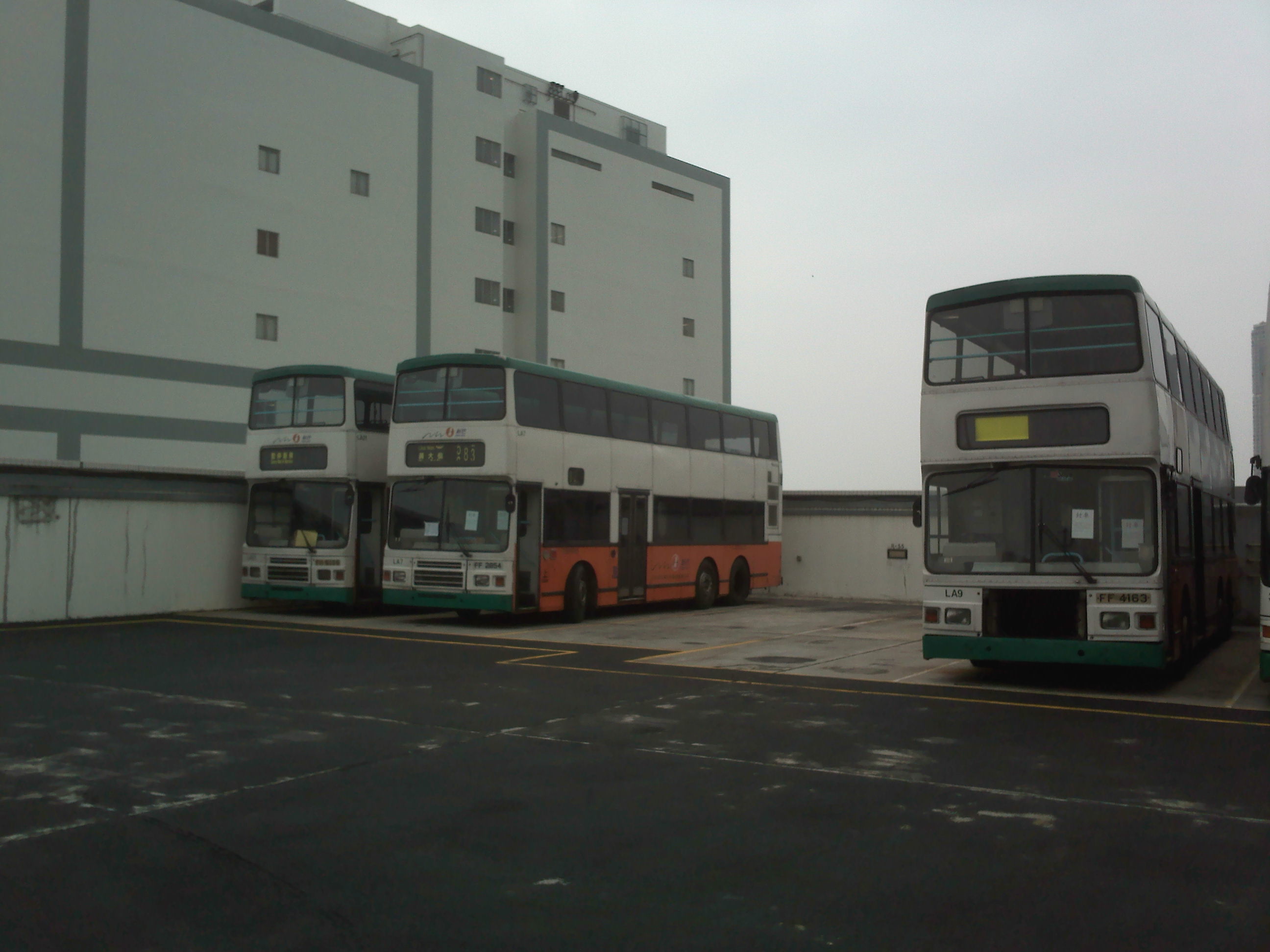IMG828.jpg