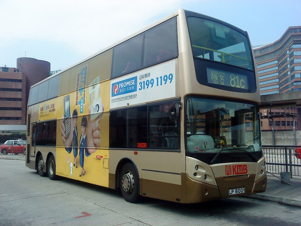 lf6001.JPG