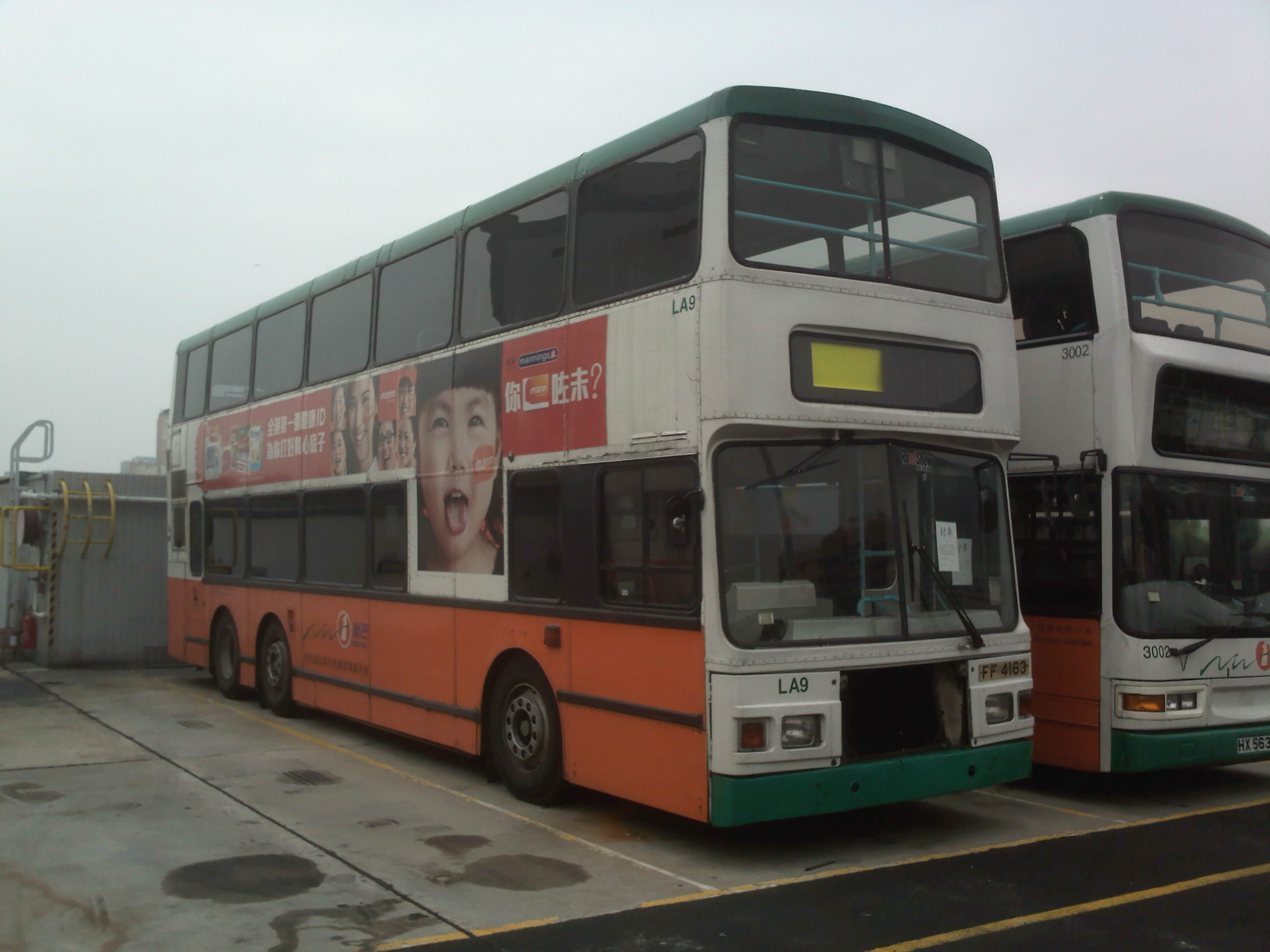 IMG831.jpg