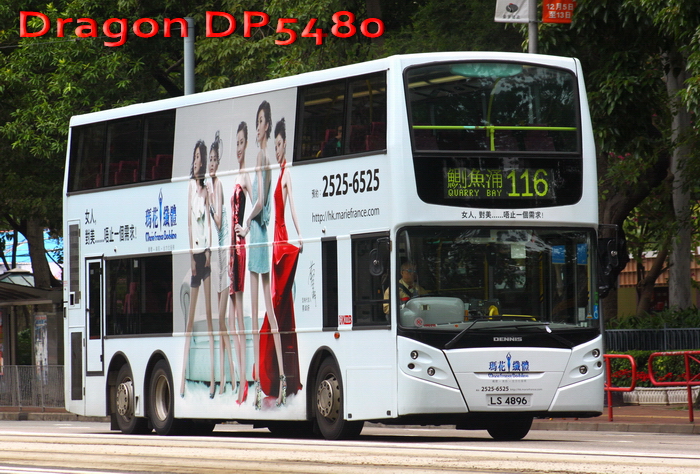 LS4896-116-CBRG.jpg