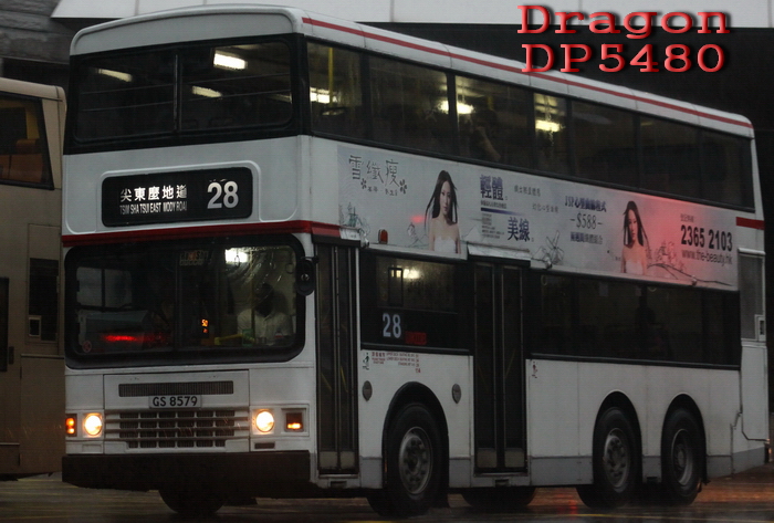 GS8579@28-RL.jpg