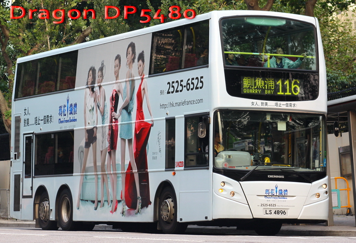 LS4896-116-GR.jpg