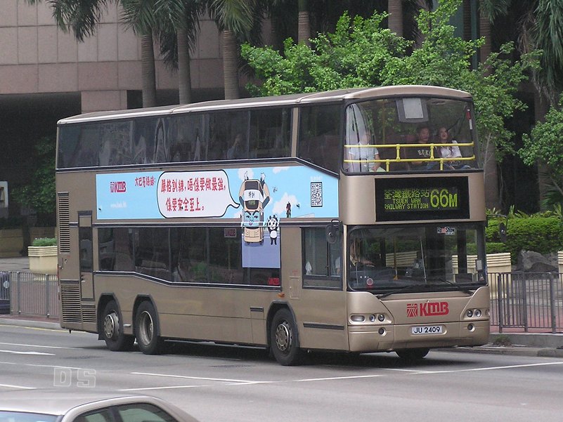 P1010042n.jpg