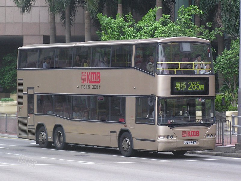 P1010051n.jpg