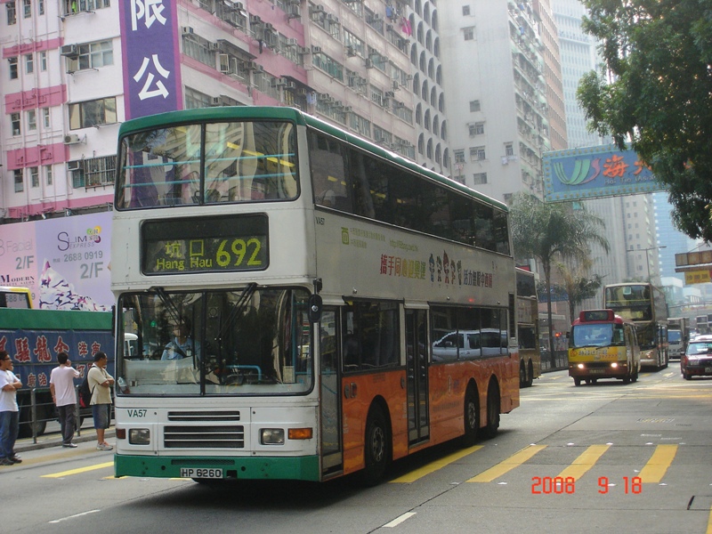 DSC00556.jpg