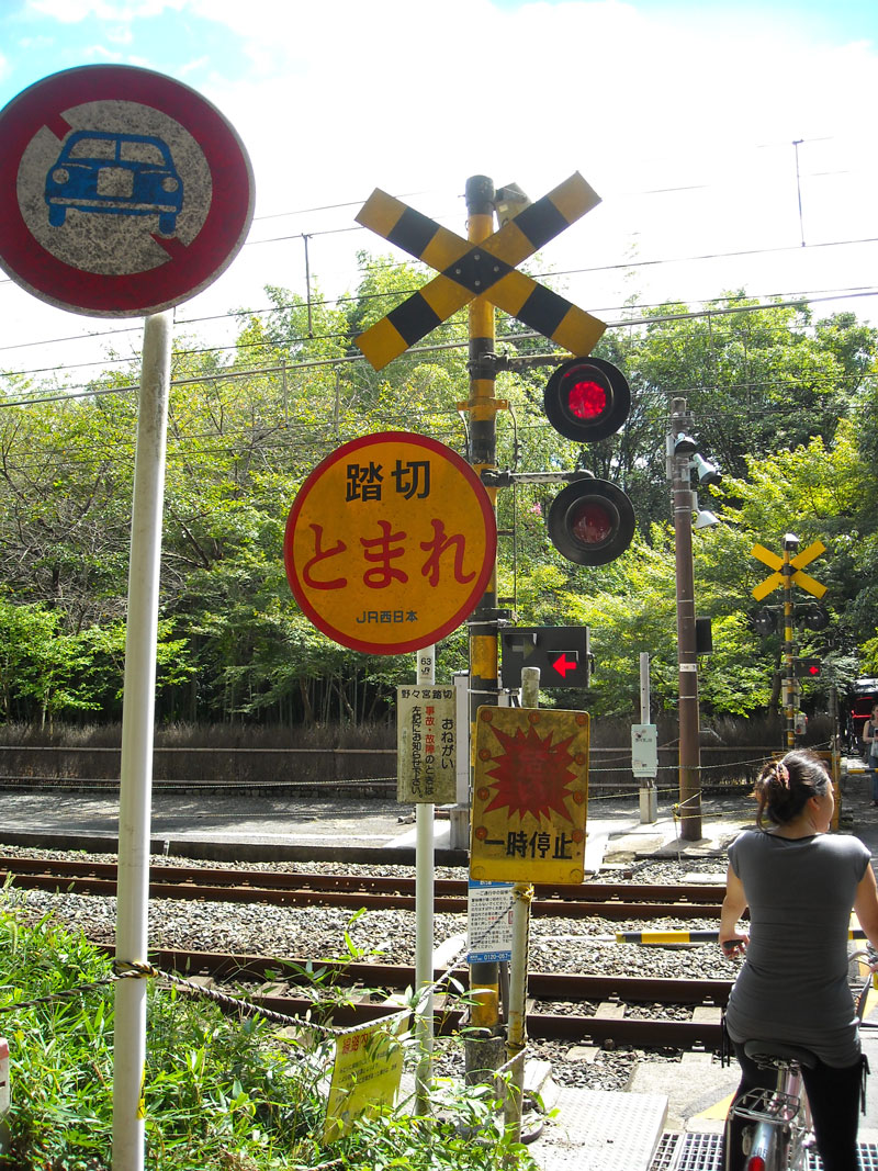 DSCN3369p.jpg