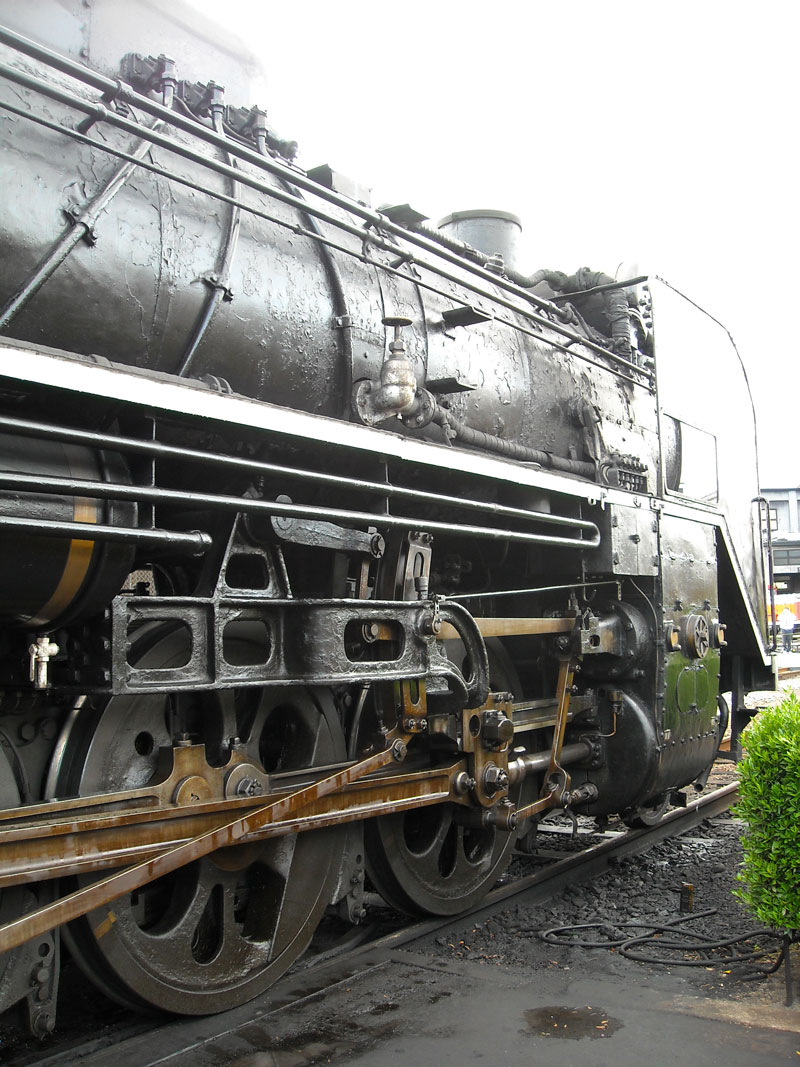 DSCN3495p.jpg