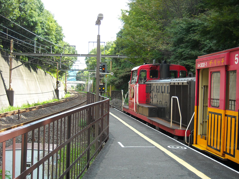 DSCN3321p.jpg