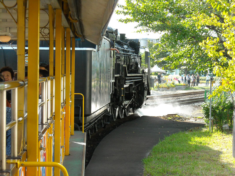 DSCN3489p.jpg