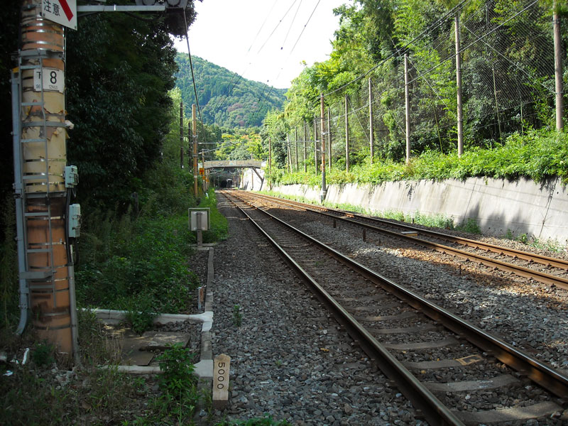 DSCN3371p.jpg