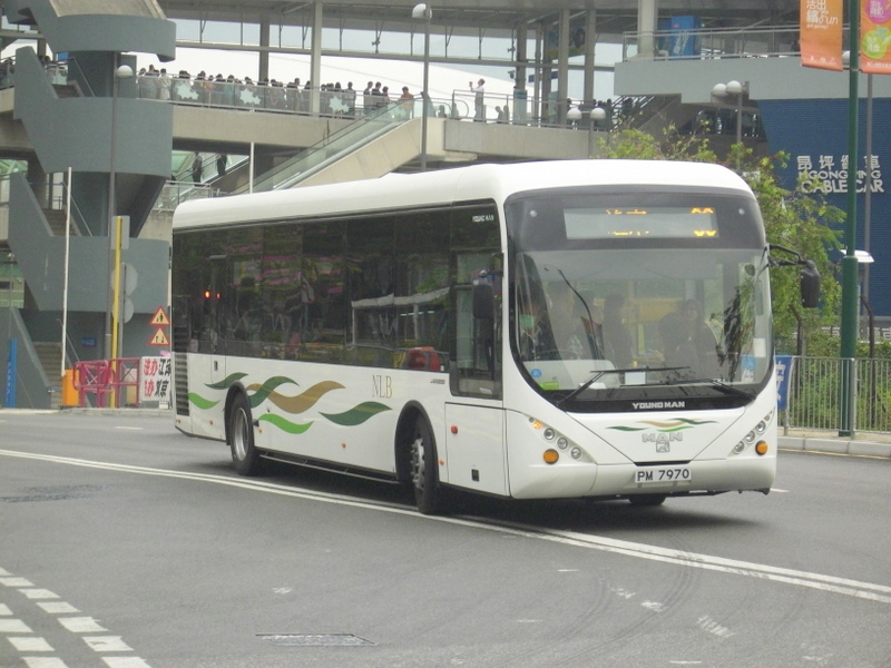 p8660455.jpg