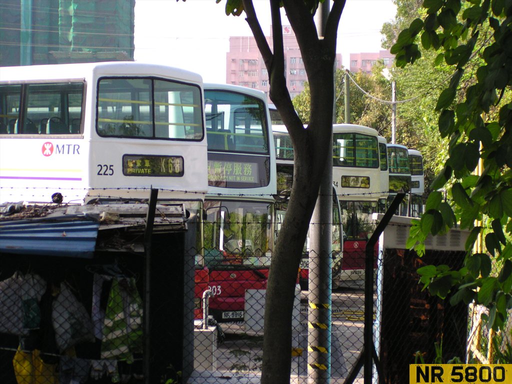 P1010081.jpg