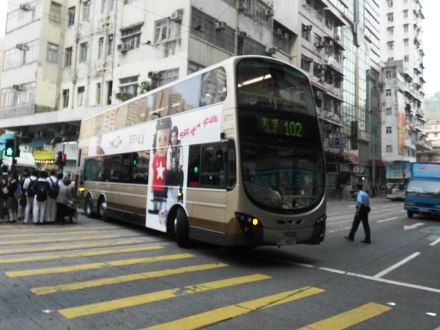01.jpg