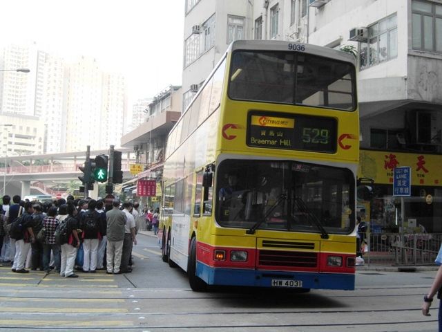 06.jpg