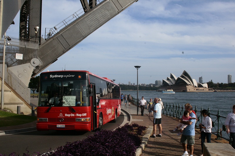 _MG_6486.jpg