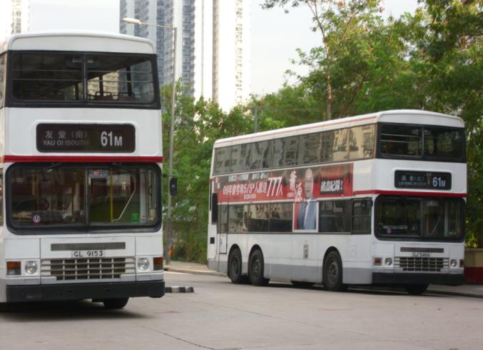 GL9153.JPG