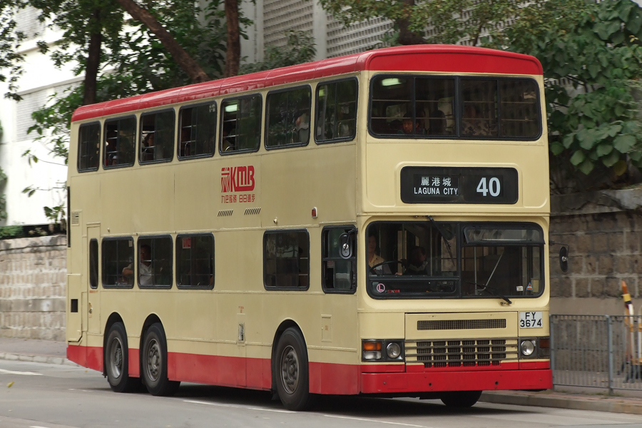 FY3674@40.jpg