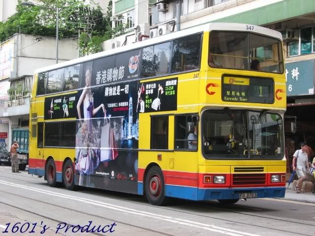 347.jpg