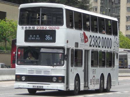 CIMG1433.JPG