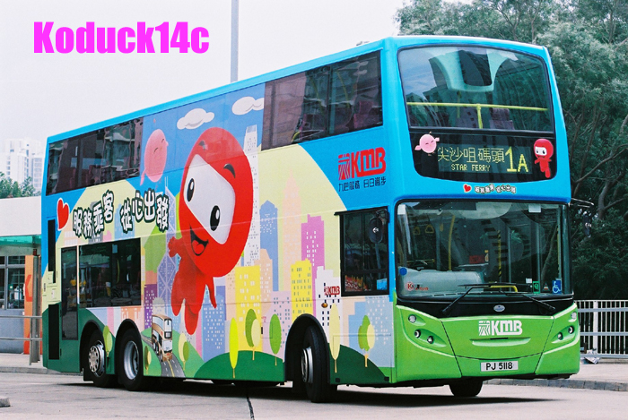 PJ5118.1.jpg